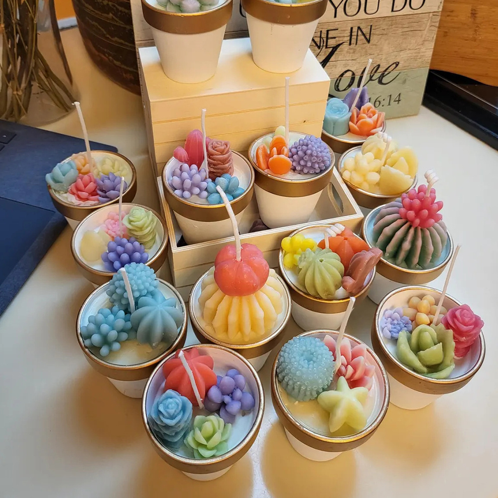 6pcs Succulent Silicone Candle - Candle Making Reno review and price